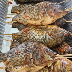 Grilled Tilapia Fish (Per One)